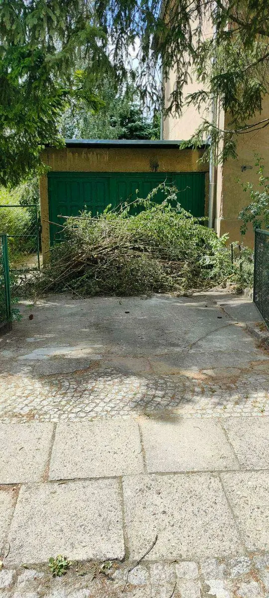 Gałęzie i odpady zielone przygotowane do wywozu